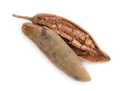 Baobab Extract (Adansonia digitata L.)