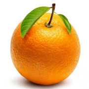 Bitter Orange Extract (Citrus aurantium)