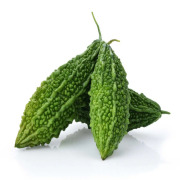 Bitter Melon Extract (Momordica charantia)