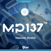 Lactobacillus paracasei MP137