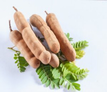 Tamarind Juice Powder (Tamarindus indica)