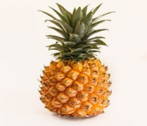 Pineapple Juice Powder (Ananas comosus)