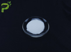 Citicoline Powder CAS: 987-78-0