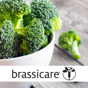 Brassicare™ to support the detoxification function of the liver