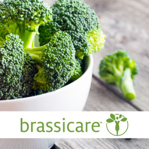 Brassicare™ to support the detoxification function of the liver