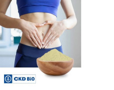 Lactiplantibacillus plantarum Q180