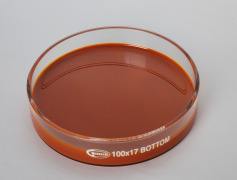 MaQxan (Lutein 20%) Oil