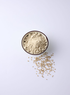 Sunflower HeliaPro Plant-Based Ingredients