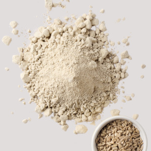 HeliaPro Sunflower Plant-Based Ingredients