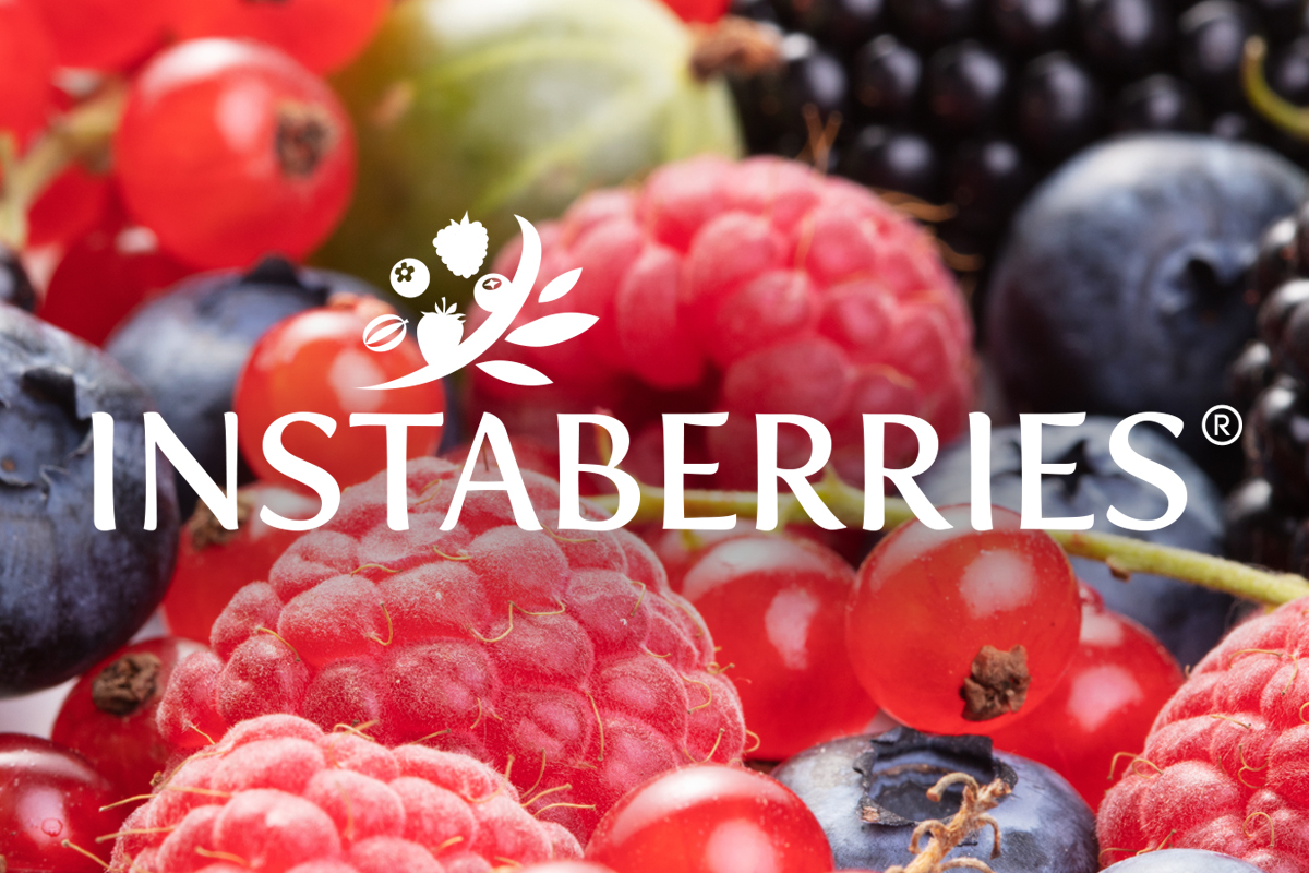 INSTABERRIES® Fermented Mixed-Berries | PERCHERON BIOCEUTICAL CO., LTD ...