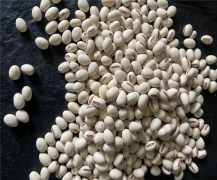 Canavalia Ensiformis Extract (Jack Bean Extract)