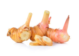 Galangal Oil