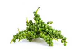 Green Pepper Oleoresin