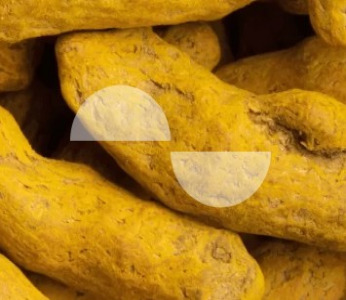 CurQfen®: Multi-benefit Curcumin Complex with Enhanced Bioavailability