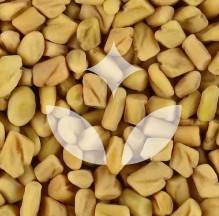FenuSmart®: Patented Bioactive Fenugreek Seed Extract for Women's Wellness