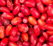FenuMat® Berberine: Proprietary Complex for Weight Management
