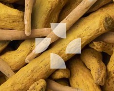 Immufen™: Proprietary ashwagandha and curcumin complex with FenuMat® technology.