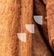 ProcynCi ®:Patented cinnamon extract with unique bioactive composition, clinically substantiated for glucose management support.