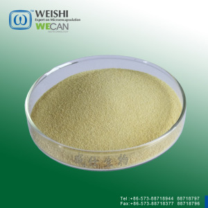 Vitamin A Acetate 325 CWD/CWS Beadlet