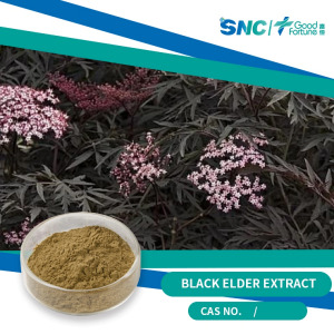 Black Elder Extract