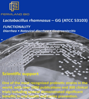 Lactobacillus rhamnosus GG
