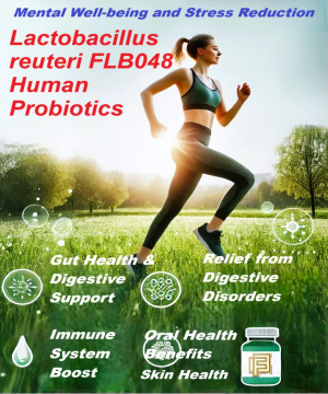 Lactobacillus reuteri