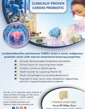 Lactiplantibacillus plantarum