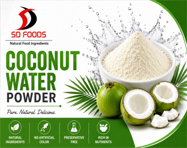Coconut Water Powder -Spray Dried