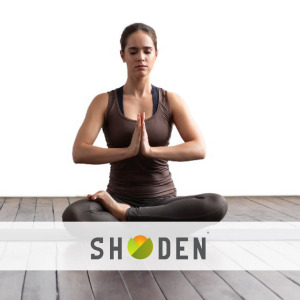 SHODEN®