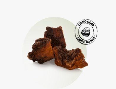 LiGNO CG06® Premium Chaga Mushroom