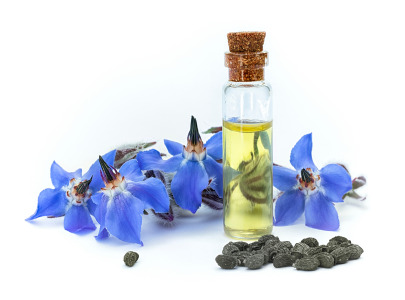 High GLA Borage Seed Oil