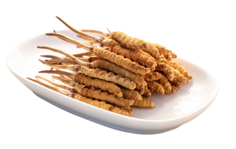 Cordyceps Sinensis