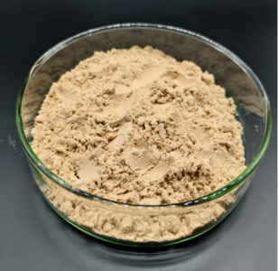 Extracted Cordyceps Sinensis Powder
