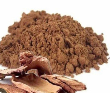 Ashoka Dry Extract