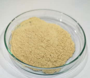Ginger Dry Extract