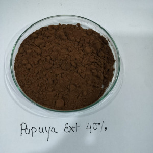 Papaya Leaf Extract