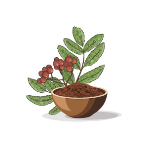 Guggul Extract