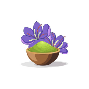 Bacopa Extract