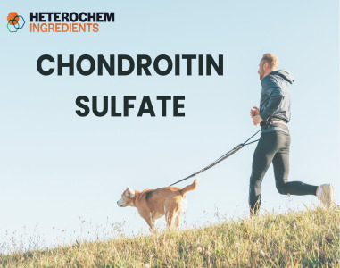 Chondroitin Sulphate