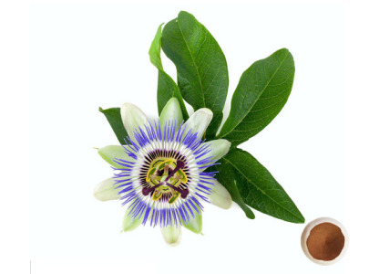 Natural Passionflower Extract 5% Flavonoids | Passiflora Incarnata Powder | HPLC Tested | Premium Relaxation & Sleep Aid Ingredient