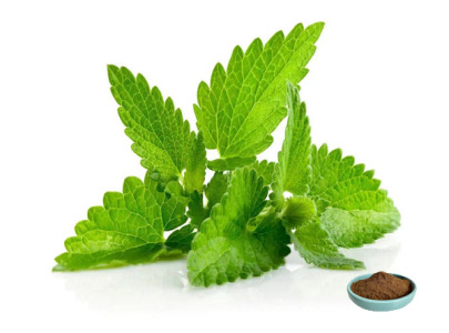Natural Lemon Balm Extract 10:1 | Melissa Officinalis Leaf Powder | High Water Solubility for Beverages & Supplements