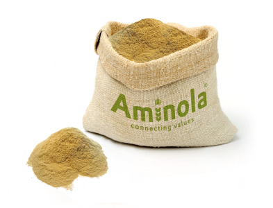 Mung Bean Protein Concentrate 55