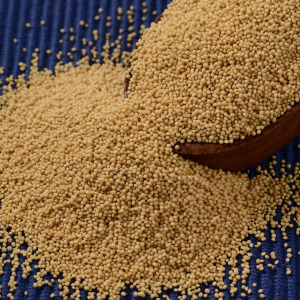 Amaranth Seeds / Grain