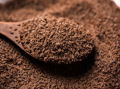 Psyllium seed