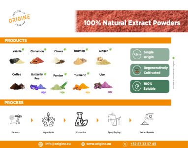 OUR EXTRACT POWDERS