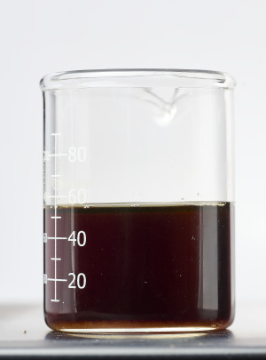 Grass-derived prebiotic sugar (FOS)