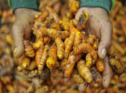TURMERIC