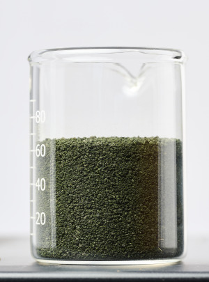 Grass protein