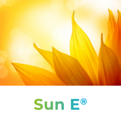 Sun E