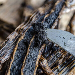 Extraction Grade Vanilla